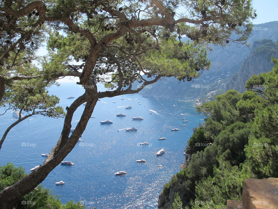 Capri view to harbour