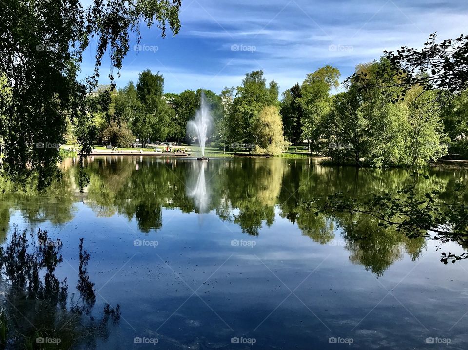 Trees reflecting on water at Sorsapuisto pond in Finland