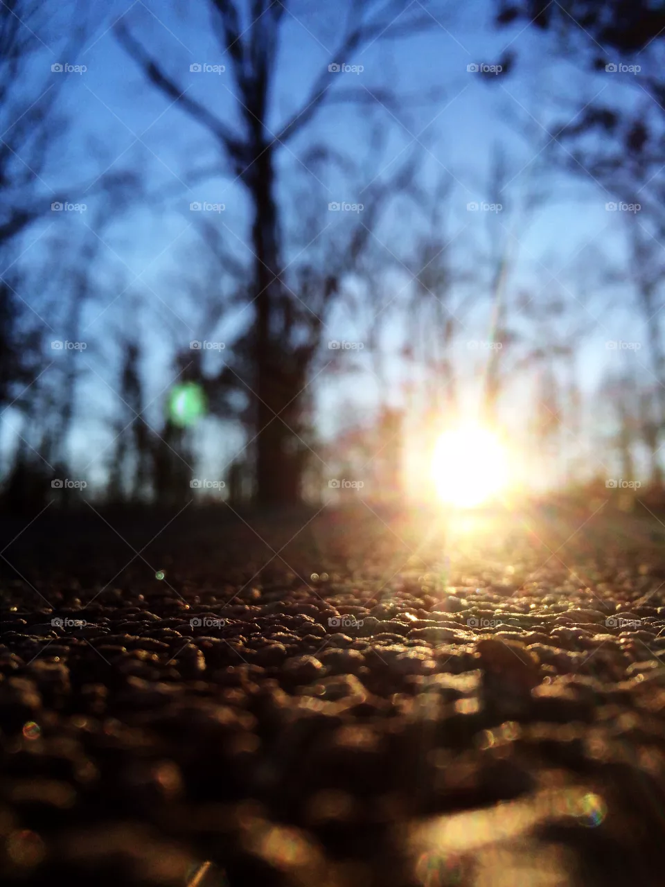 Dawn, Sun, No Person, Nature, Sunset