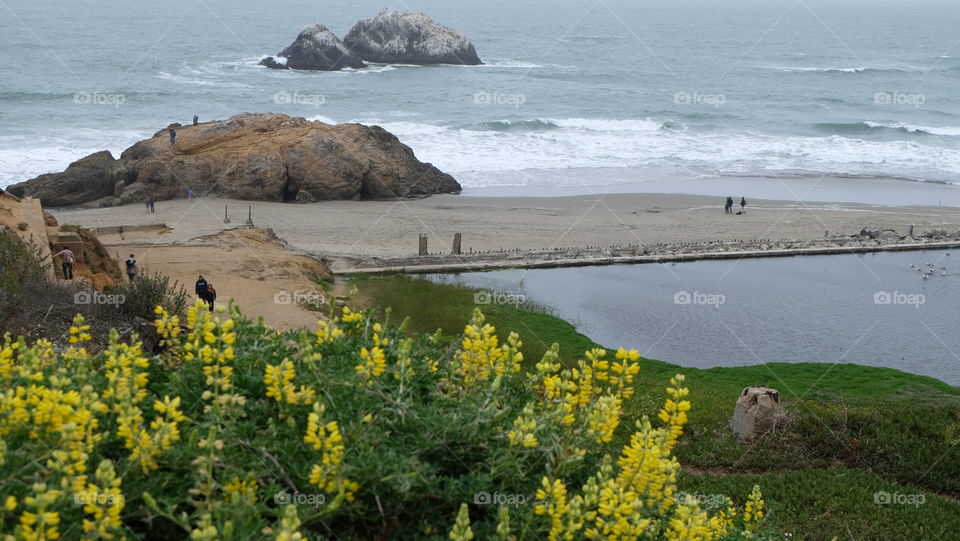 Beach in San Francisco