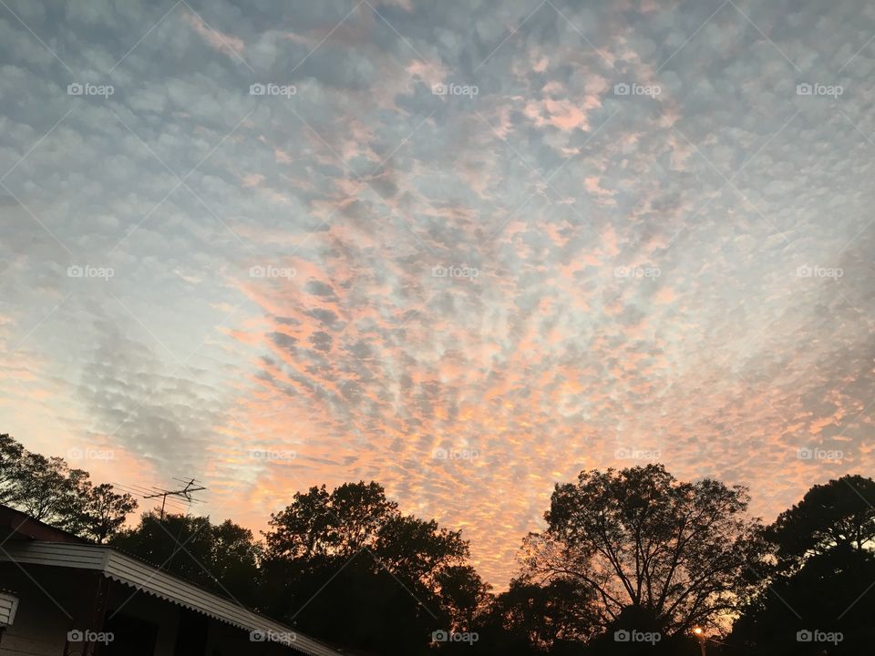 Lacy clouds