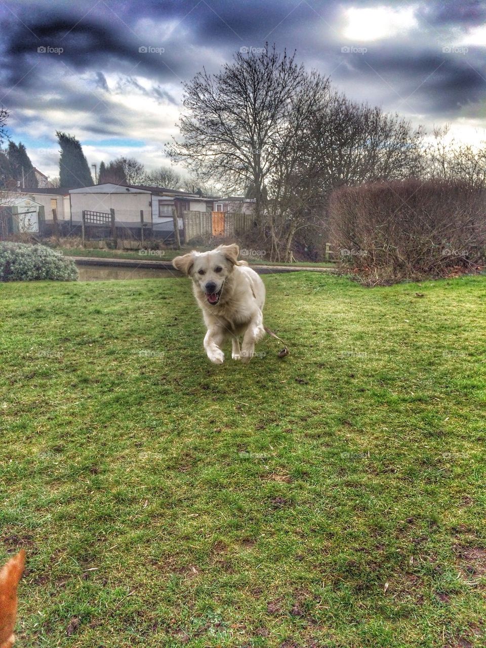 Zoe having fun at the canal