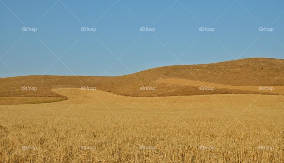 On the way to Khalid Nabi's tomb