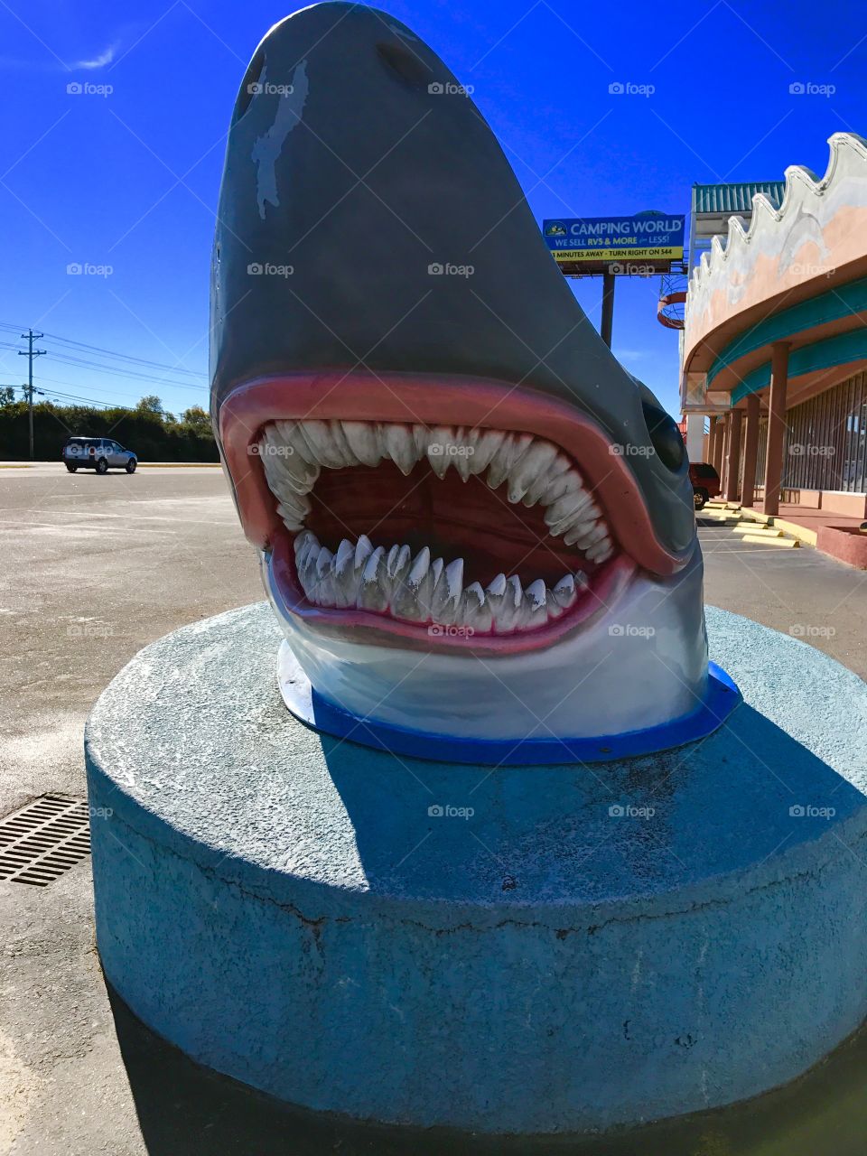Shark Attack Statue 