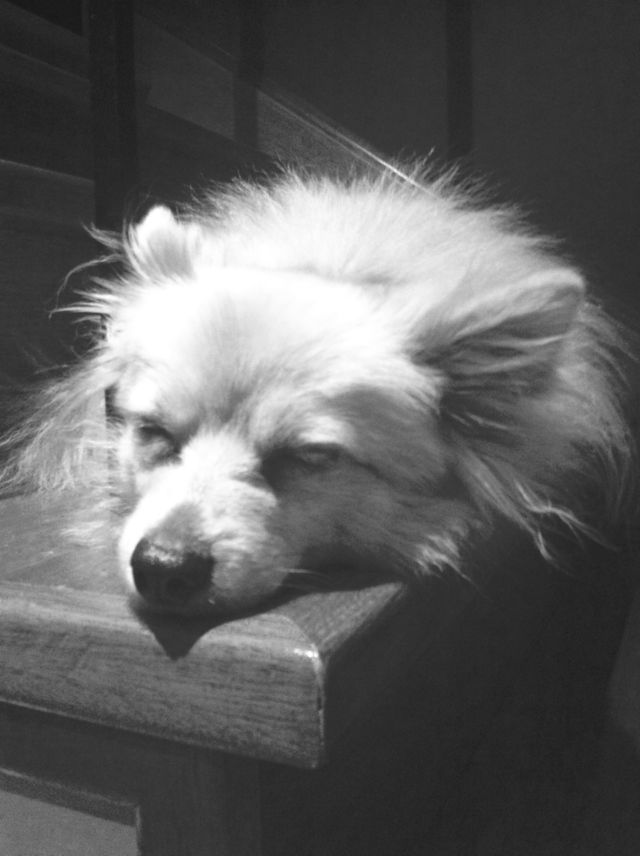 Lazy days