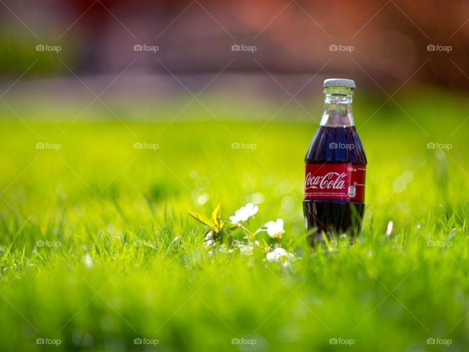 coca cola bottle in the grass