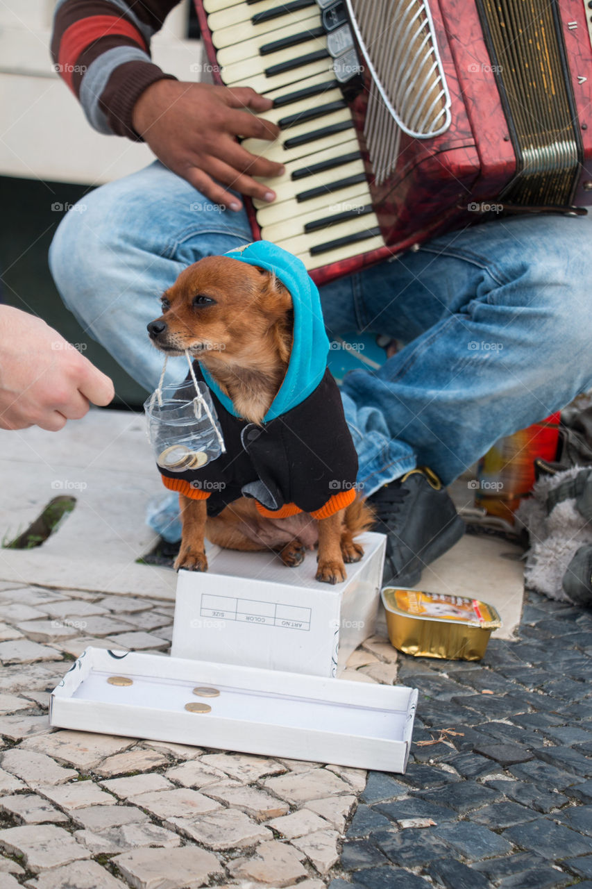 Panhandler and his dog 