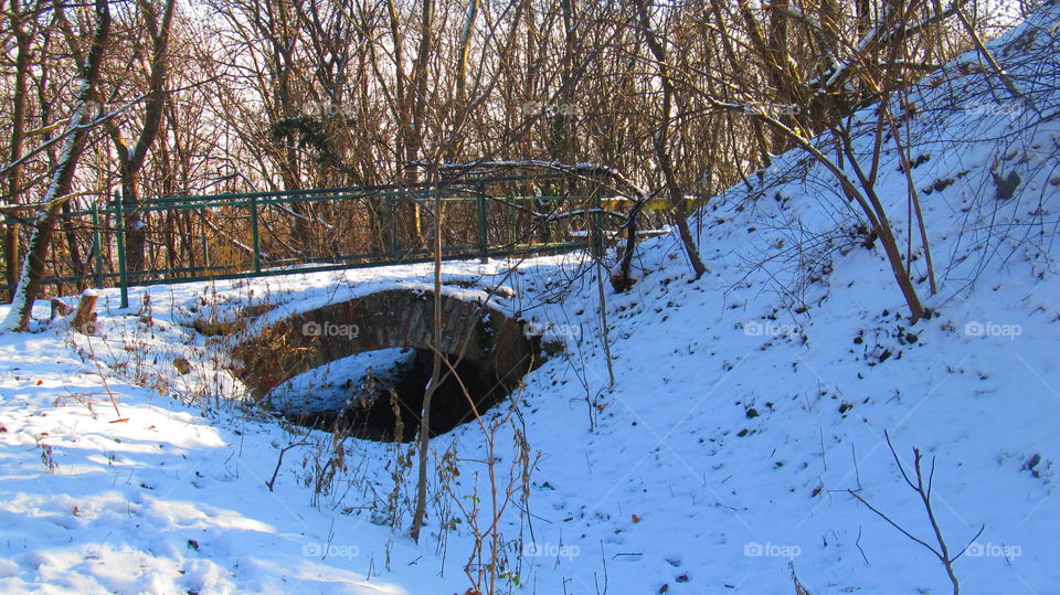 Small bridge in the forest