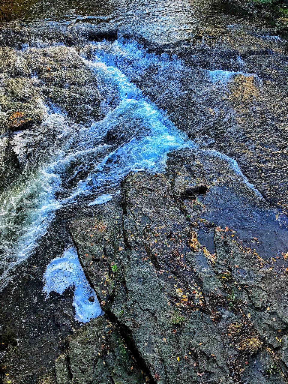 Ellicott Creek rapids