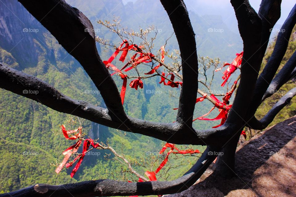 Through the cliff walkway rails