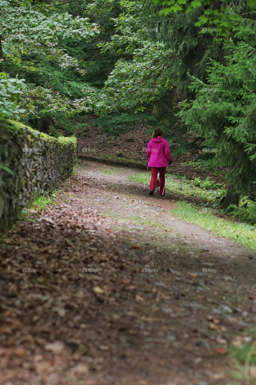 Autumn Walk