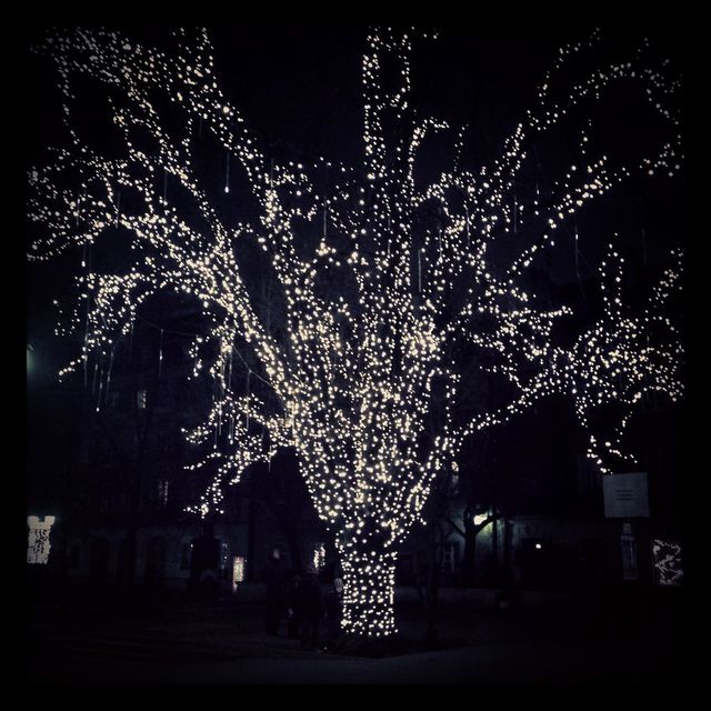 Lights