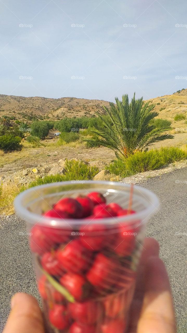 a cup of fruits