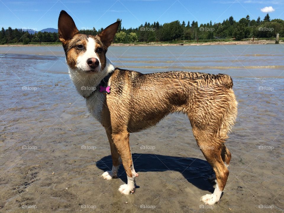 I don't want to go home.