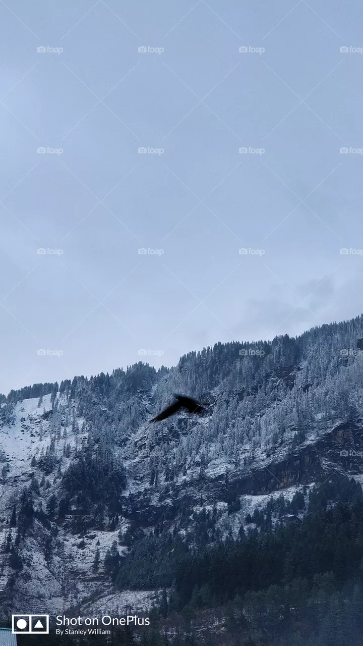 Nature