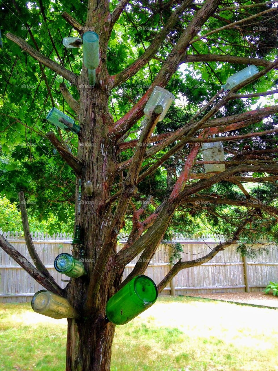 DIY projects at home: We made a bottle tree from old colored bottles found when digging for a remodeling project.