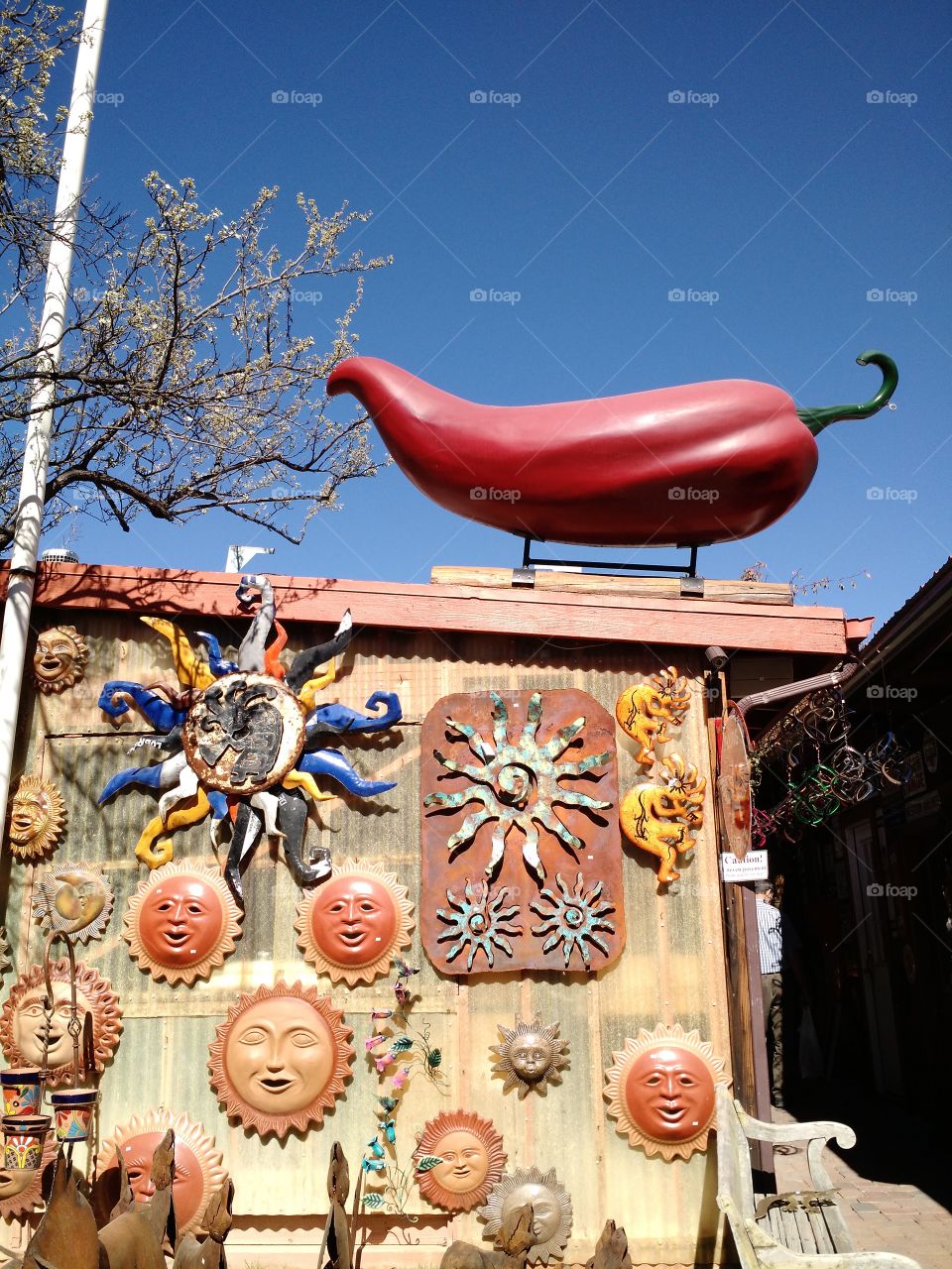 giant chili pepper. shopping in AZ