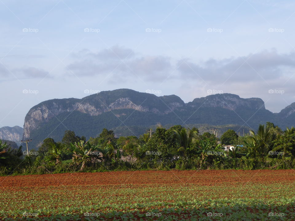 View at Hills in vale de viñales Cuba