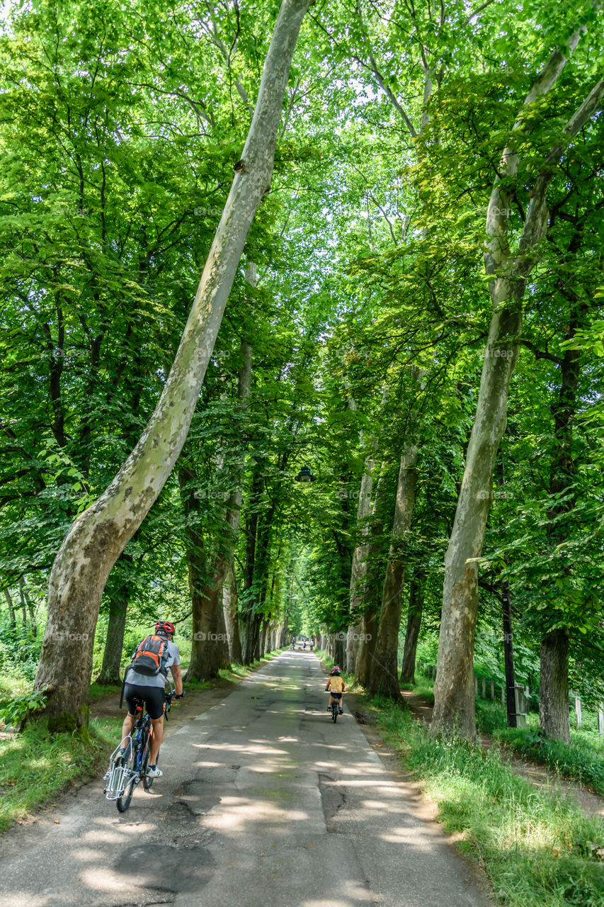 Biking over the alley