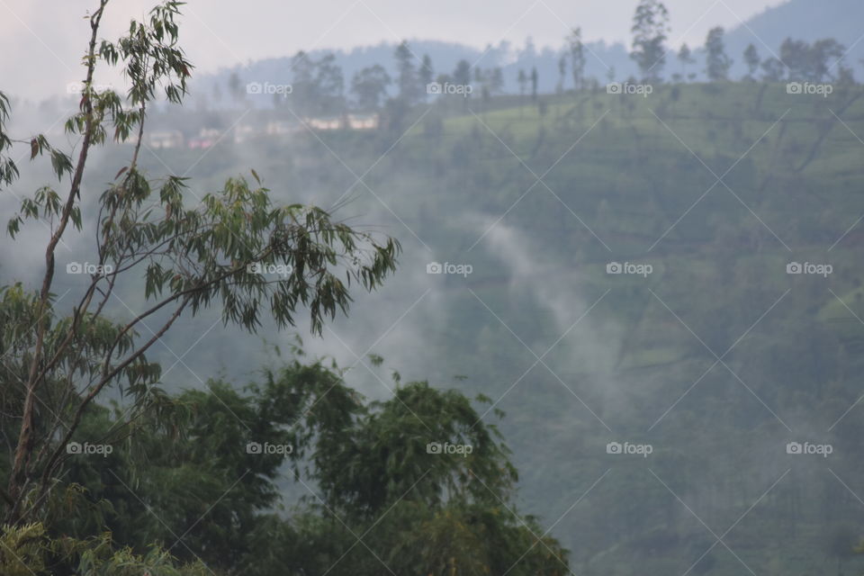 Morning mist give that feeling which beyond disciption 😊