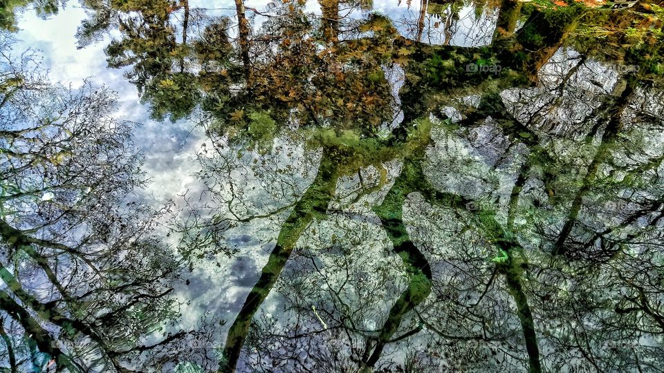 A detailed reflection casted on the crystal clear waters in Piges Kryas,Livadeia