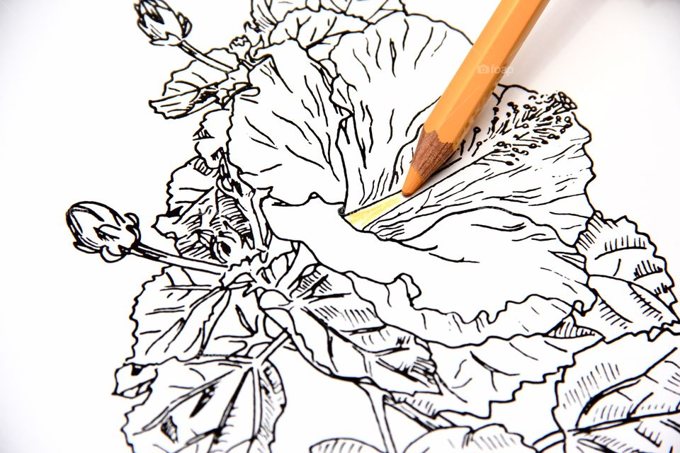 Coloring book. Flowers 