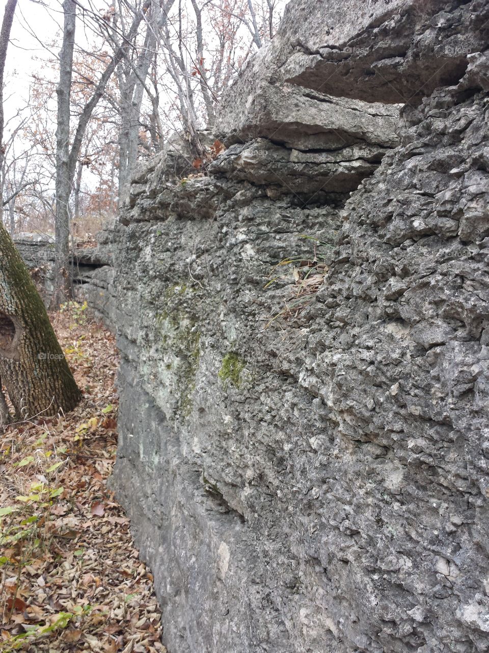 Monkey Mountain Views