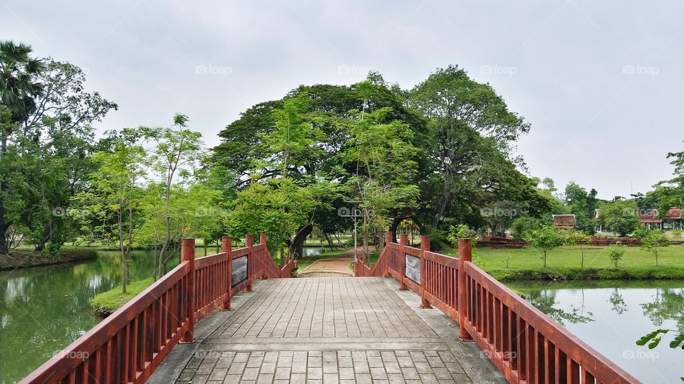 The bridge in the garden