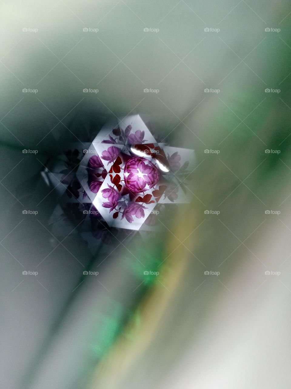 purple flower in the corner