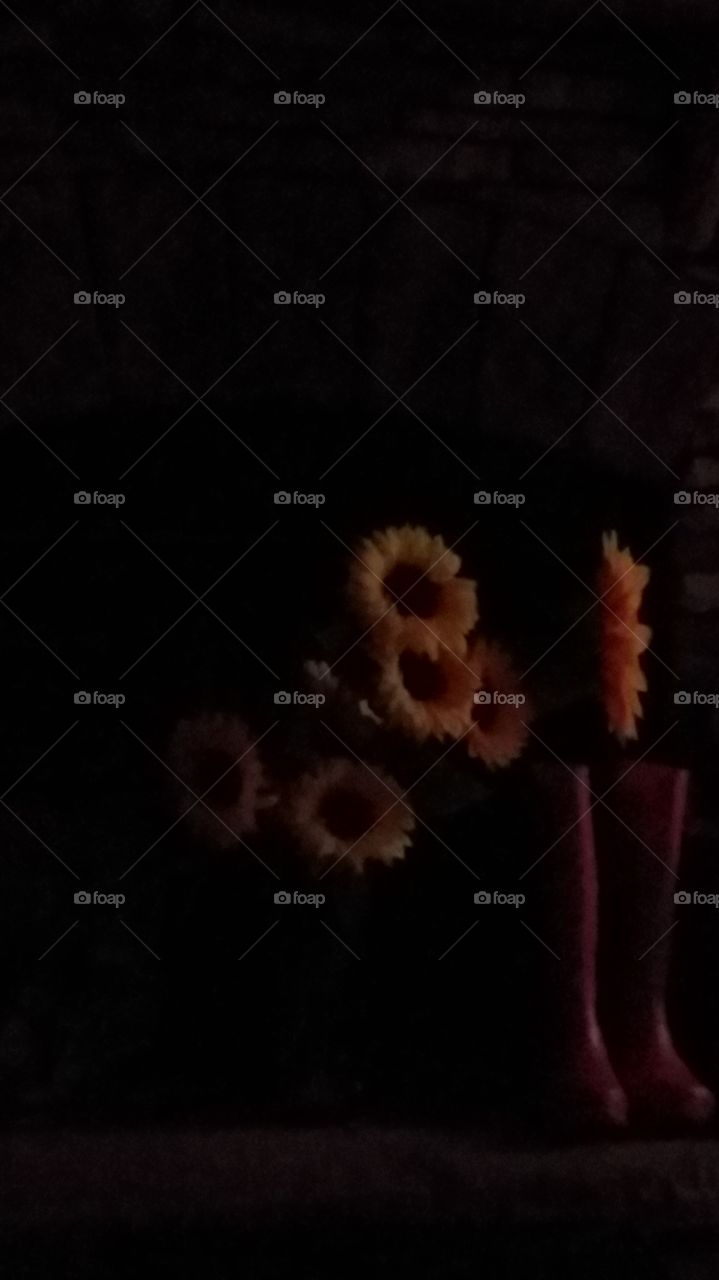 soft glow of sunlight at dusk shining on the hearth.