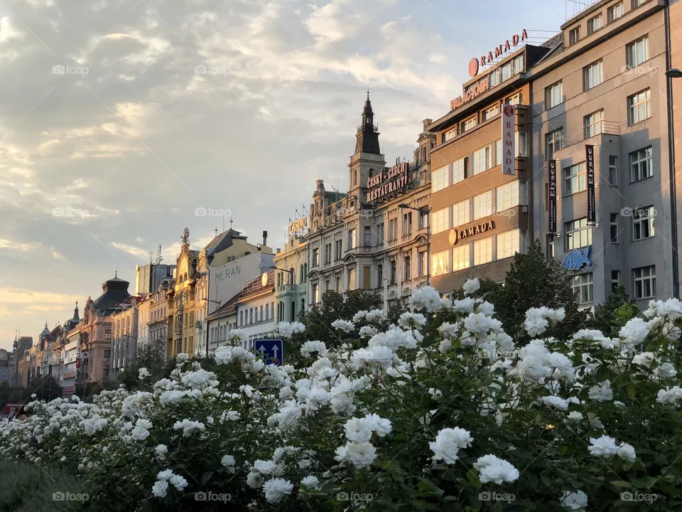 Prague