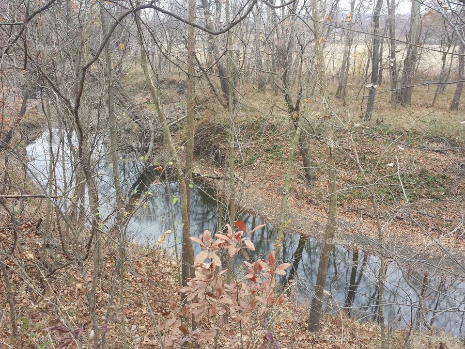 creek reflecting