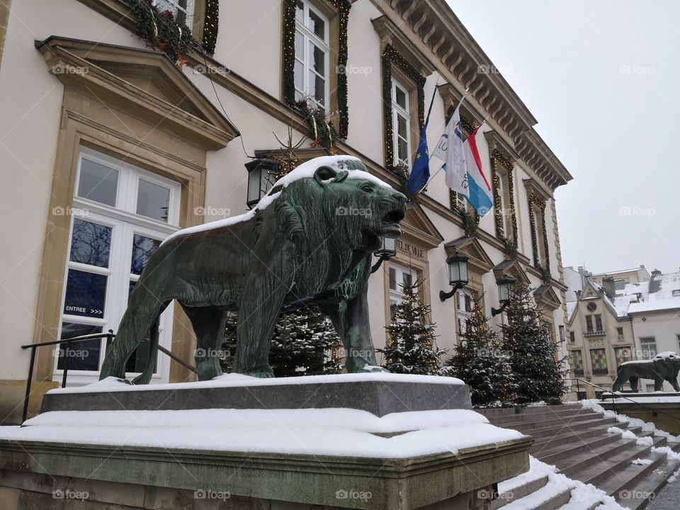 Statue, Street, Lion, Luxembourg, Luxembourg