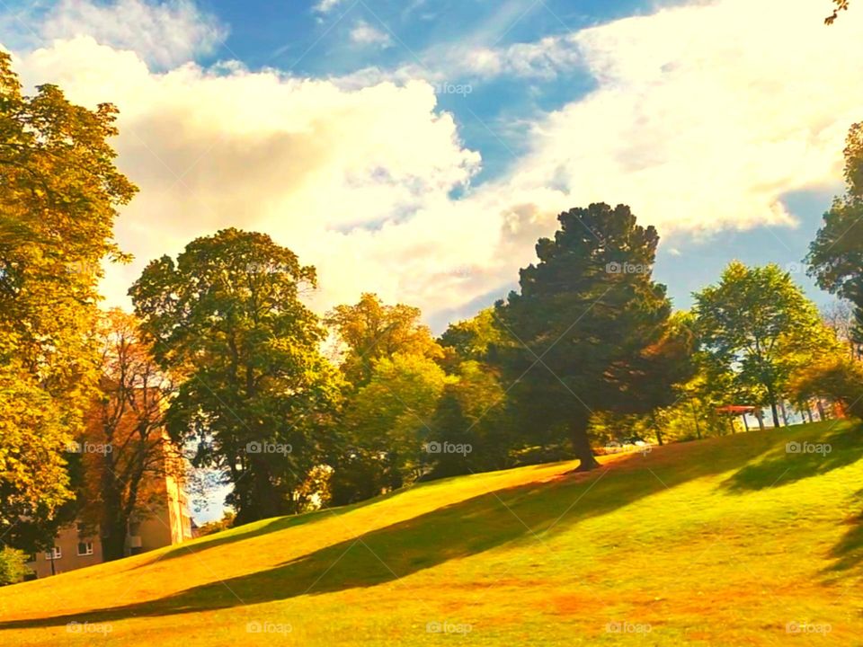 Feeling Happy || Happy Mood