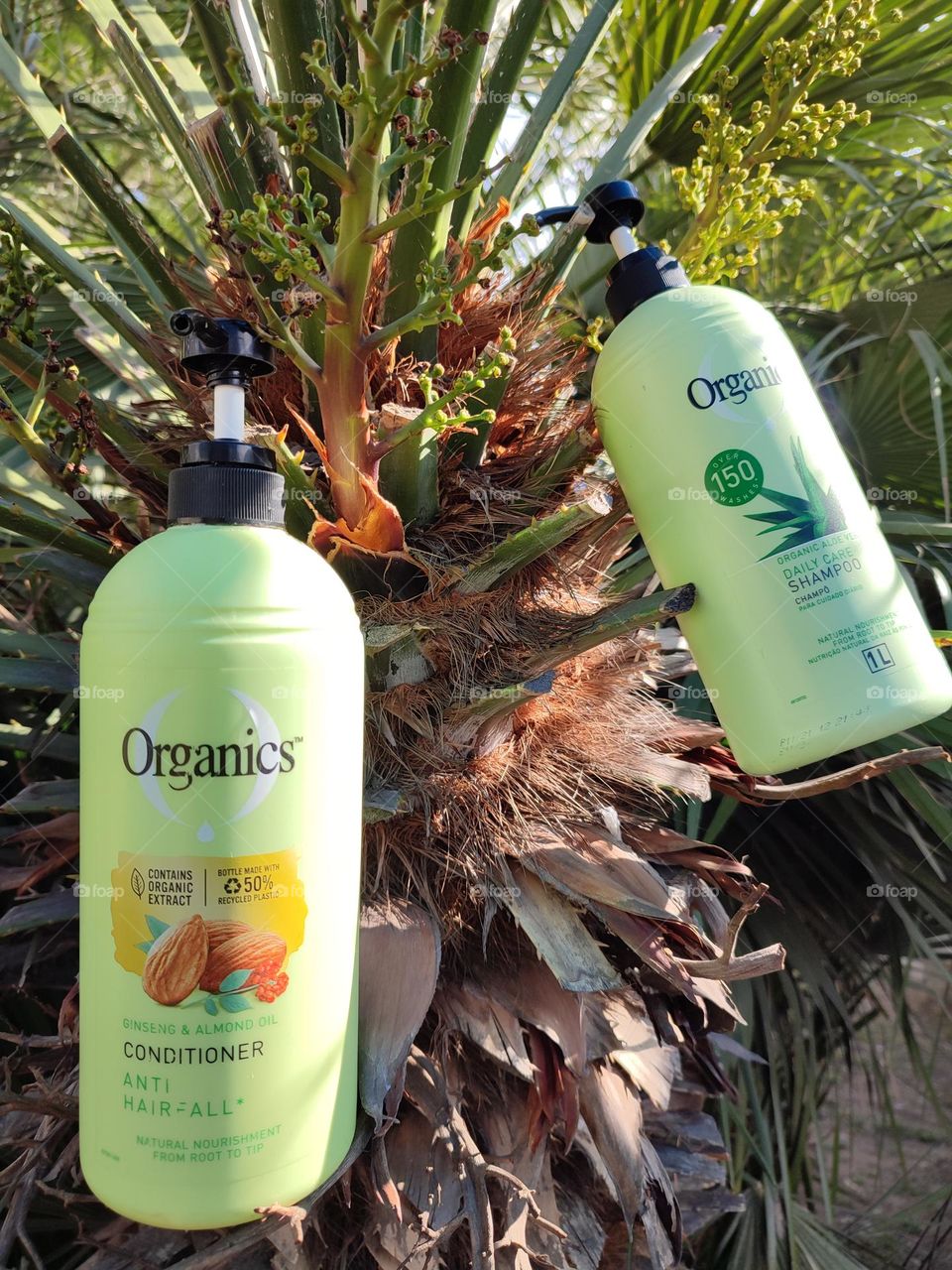 Organics Daily Care 2-in1, Shampoo and Conditioner