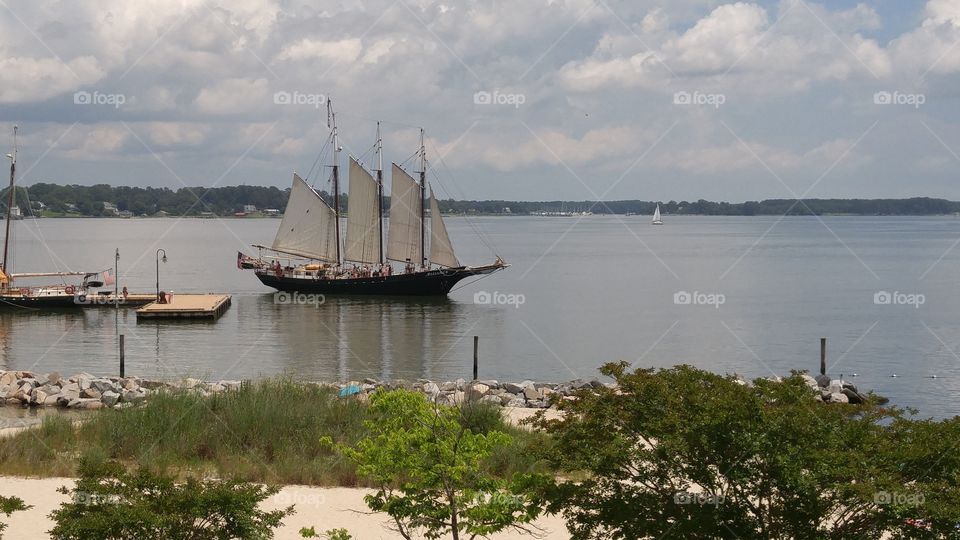 Pirate sail