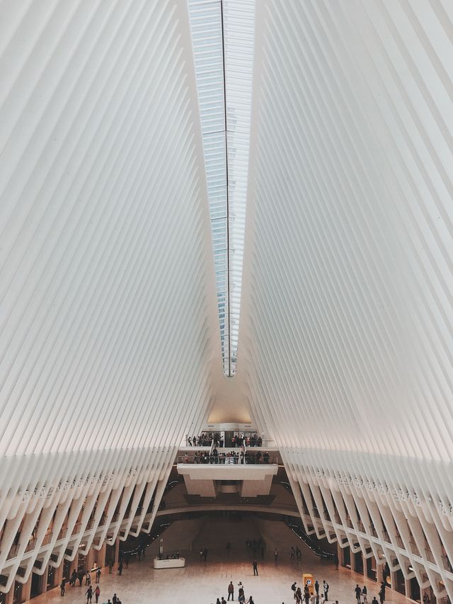 Oculus