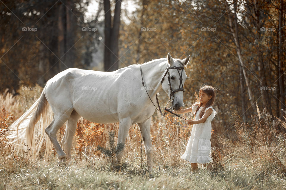 Little girl with grey horse in autumn park 