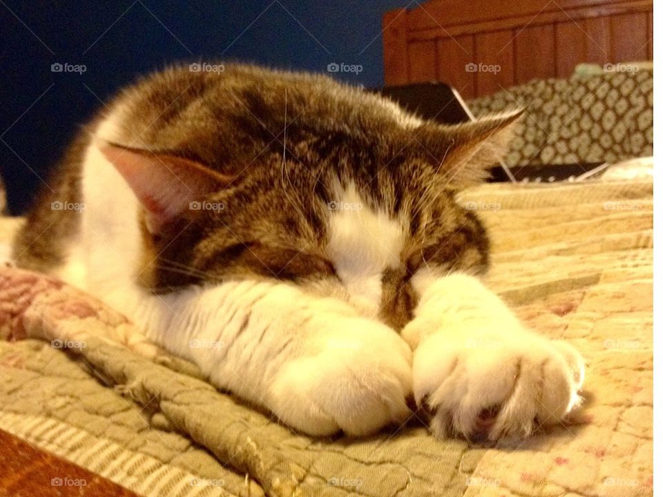 Sliding into the weekend