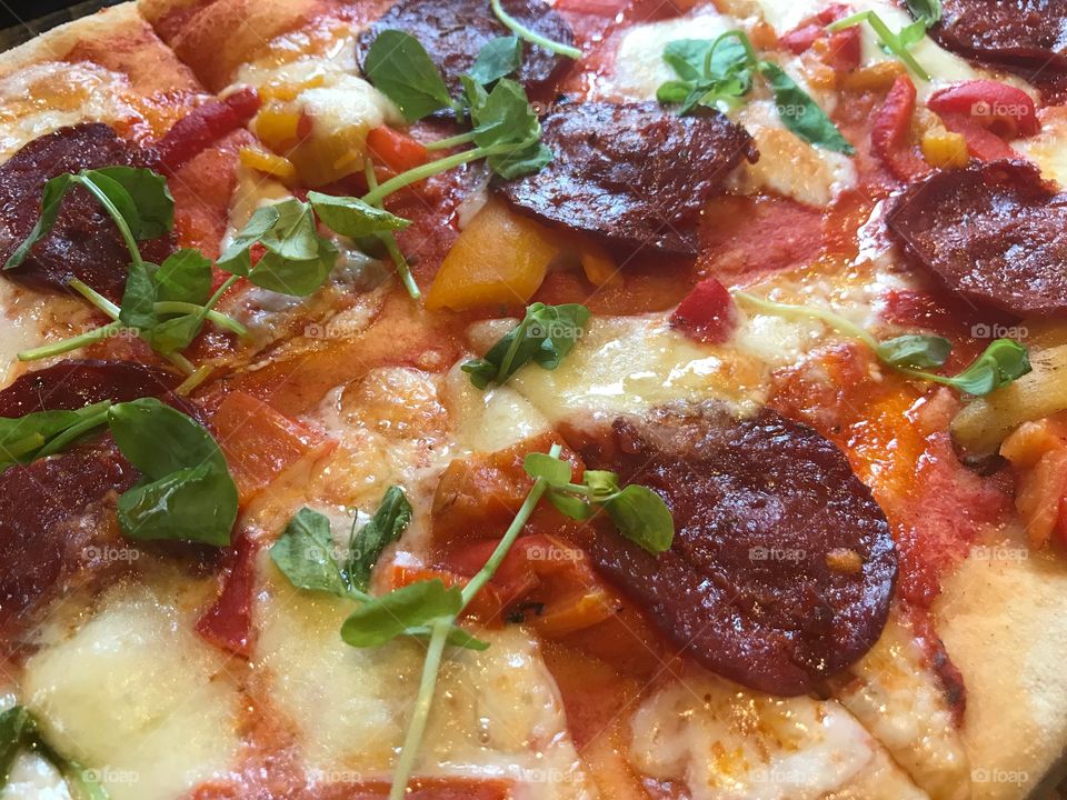 Salami pizza-close up