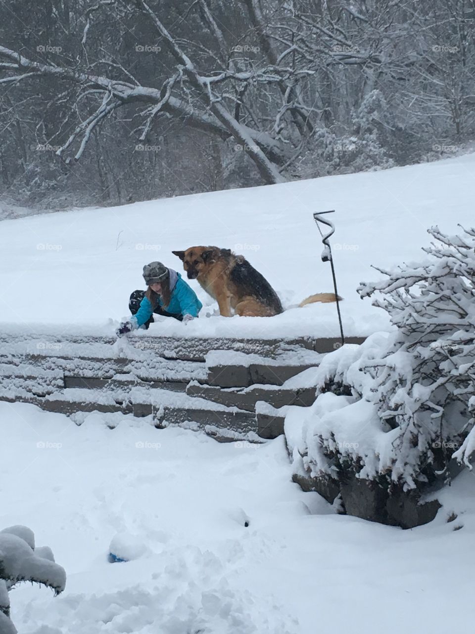Girl playing in snow with brown dog