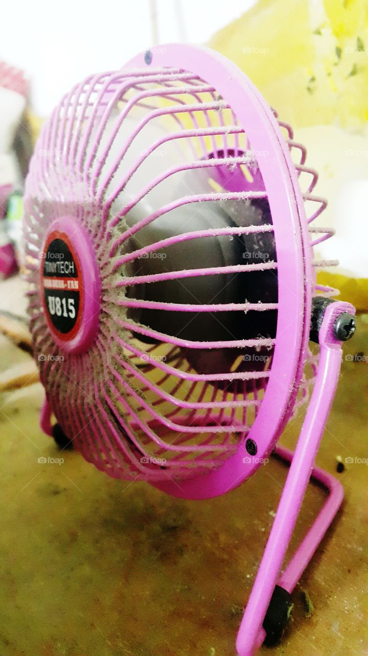 fan