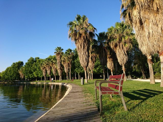 Paisaje de lago 