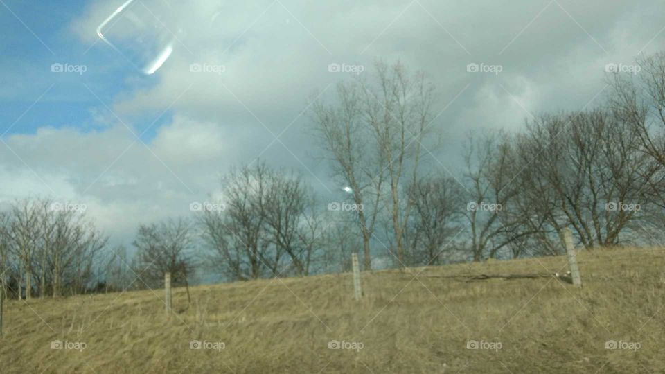 Landscape, Tree, Environment, Field, Weather