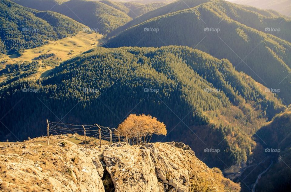 Landscape of a mountain