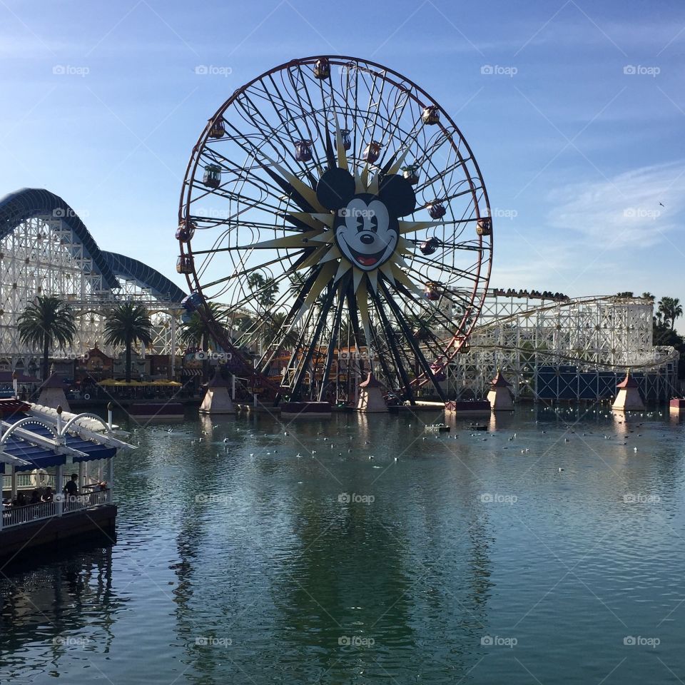 california dreamin’ at california adventure. 