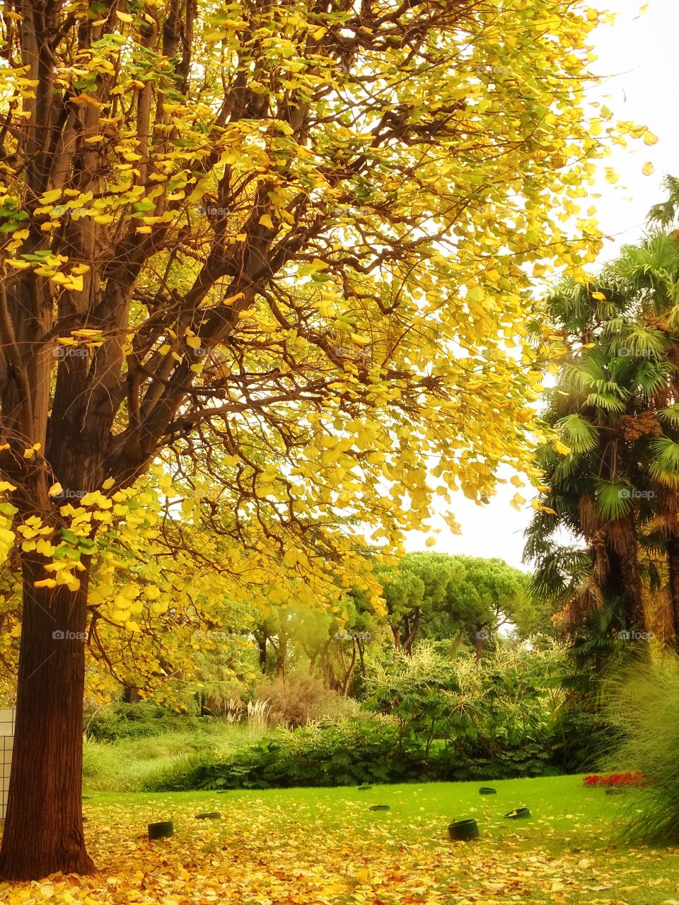 It will be that autumn comes