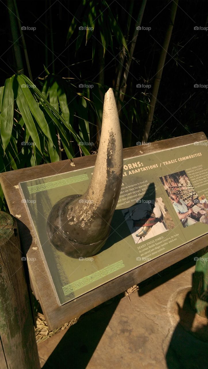 No Person, Wood, People, Landscape, Still Life