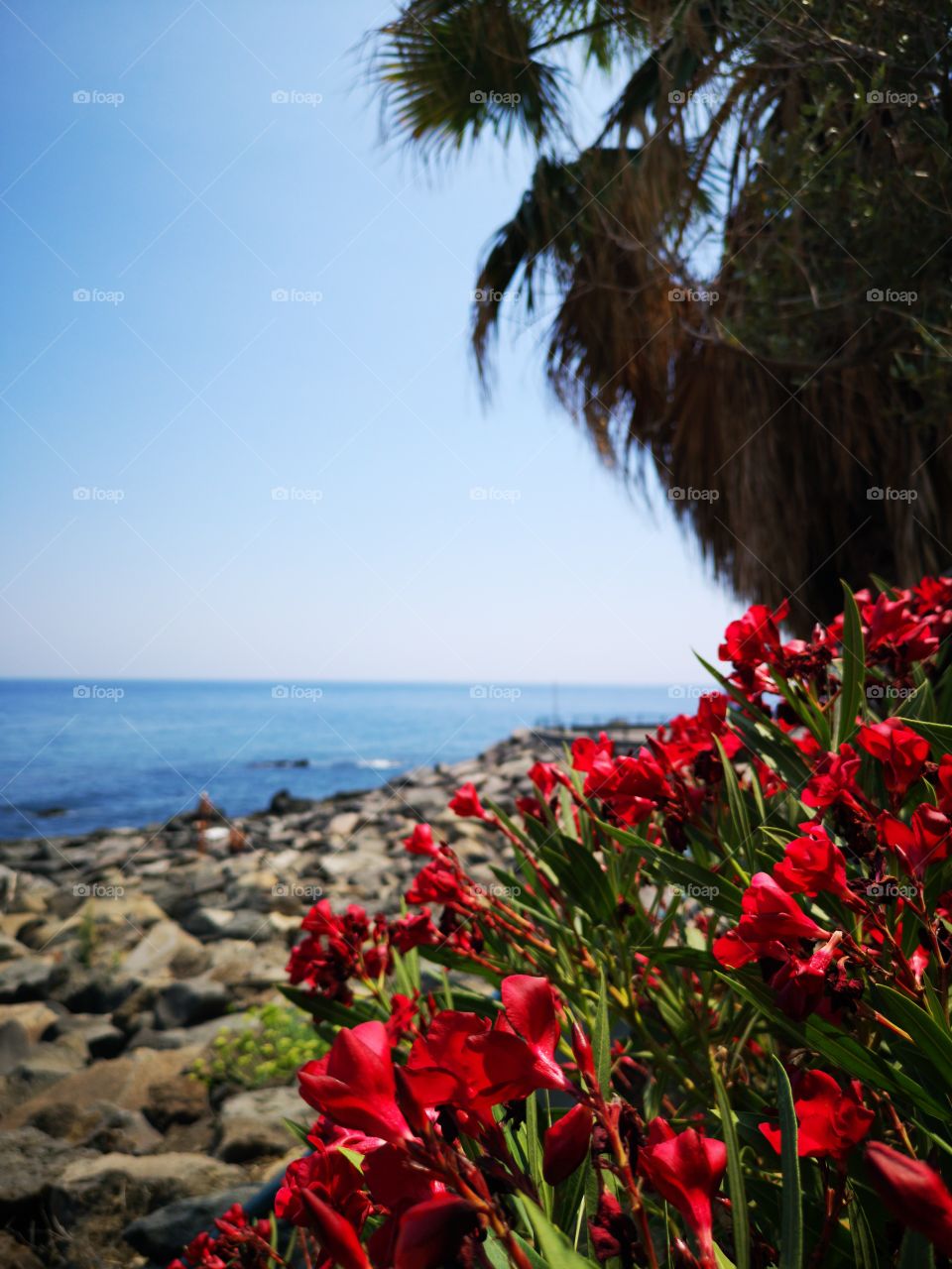 Red between sea and sky