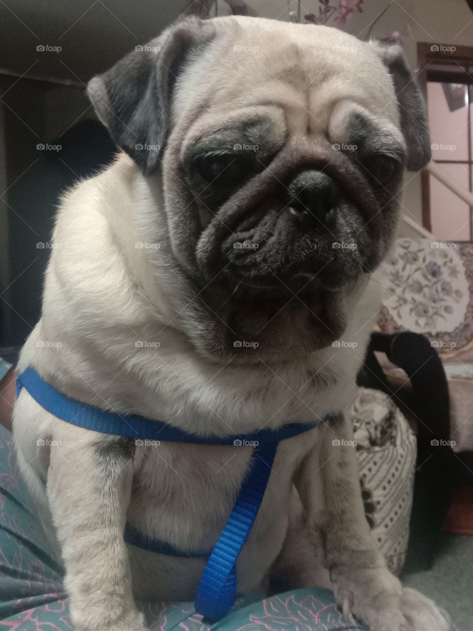 Hello Everyone!!!
Amy here.